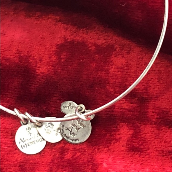 Alex & Ani Bracelet - Picture 4 of 8